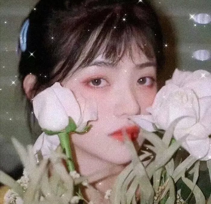无名的恋歌